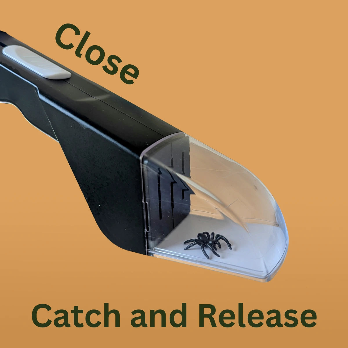 Bugstick Bug Catcher