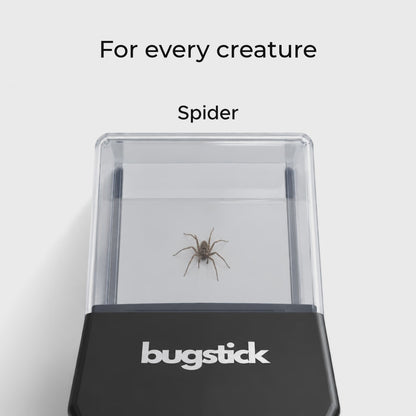 Bugstick